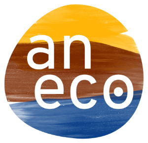 Aneco Logo